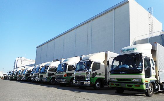 柴又運輸株式会社のトラックの写真