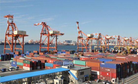 港湾内の風景写真